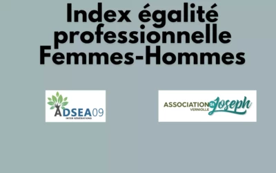 INDEX EGALITE PROFESSIONNELLE